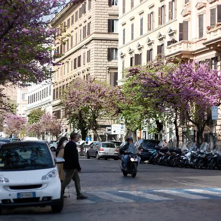 Florida - Comfort 酒店 2*