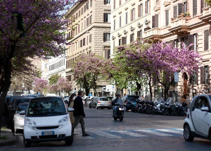 Florida - Comfort Szálloda 2*